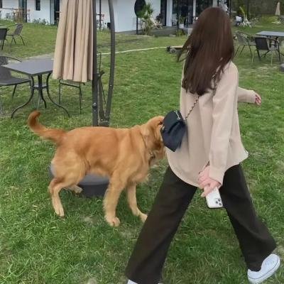 行尸走肉:存活之人
